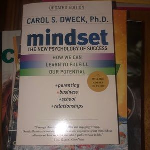 BNWT Mindset paperback